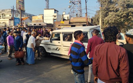 डिवाइडर के पेड़ों ने रोकी बोलेरो की रफ्तार, बाइक सवार को बचाने में टला बड़ा हादसा