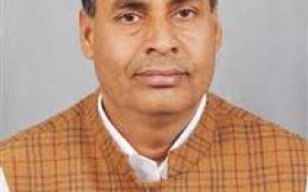 बजट से सेना, शिक्षा, स्वास्थ्य और तकनीक को नई मजबूती - मीणा