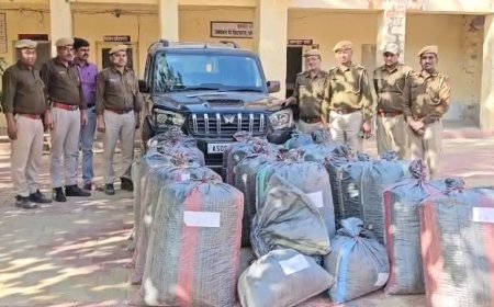 बालोतरा पुलिस की कार्यवाही; नाकाबंदी तोड़कर भागे तस्कर, पुलिस ने 15 किलोमीटर पीछा कर 438 किलो डोडा-पोस्त पकड़ा