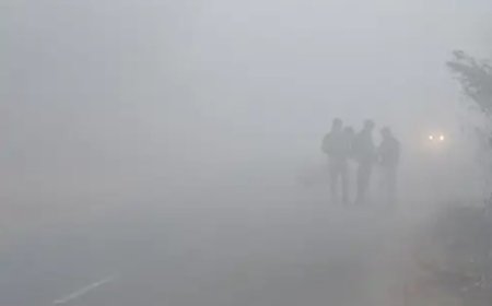 गोविंदगढ़ में घना कोहरा, विजिबिलिटी 50 मीटर: हाईवे पर यातायात प्रभावित, शीतलहर से बढ़ी ठंड