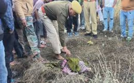 गोविंदगढ़ में झाड़ियों में पॉलीथिन मिला मृत भ्रूण: शॉल और सलवार से ढका हुआ था, खेत से लौट रहे किसान ने पड़ा देखा