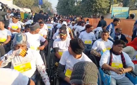 अलवर में हुई अंतरराष्ट्रीय टाइगर मैराथन; इंटरनेशनल धावक हुए शामिल,  'मुख्यमंत्री भजनलाल शर्मा, उप मुख्यमंत्री दीया कुमारी व फिल्म स्टार रणदीप हुड्डा' ने दिखाया फ्लैग