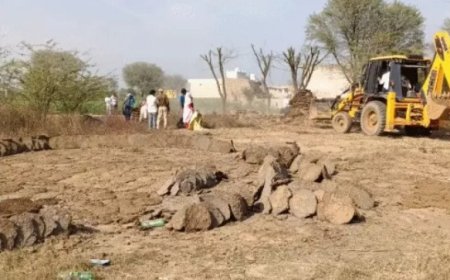 गोविंदगढ़ में प्रशासन ने चलाया बुलडोजर: हसनपुर में की कार्रवाई, सरकारी भूमि से हटाया अतिक्रमण