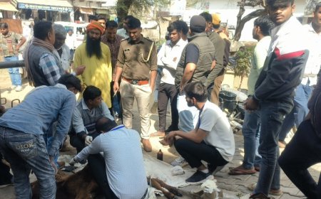 गोविन्दगढ़ में दिनदहाड़े गोवंश पर प्राणघातक हमलाःउपचार के दौरान मौत,आमजन में आक्रोश