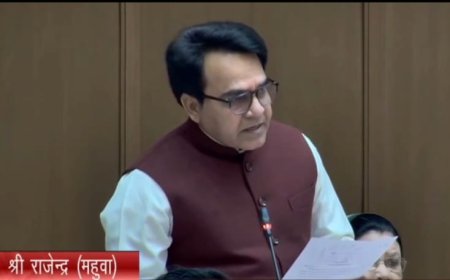 विधायक राजेंद्र मीना का विधानसभा में बड़ा सवाल: गर्मियों में महुवा को कैसे मिलेगा पानी?, JJM मे हुये भ्रष्टाचार पर दोषियों पर सख्त कार्रवाई की मांग