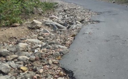 पाली जिले में परशुराम महादेव रोड बदहाल: श्रद्धालुओं और स्थानीय लोगों में बढ़ता आक्रोश