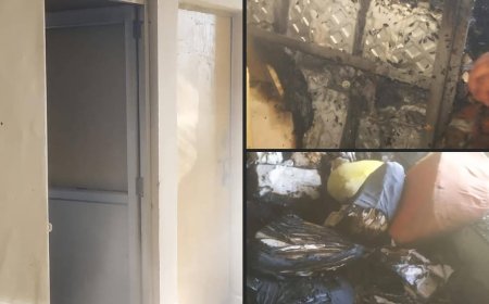 तहसील कार्यालय में शॉर्ट सर्किट से भड़की आग, एलआरसी शाखा का रिकॉर्ड जलकर खाक; शोपीस निकले अग्निशमन यंत्र