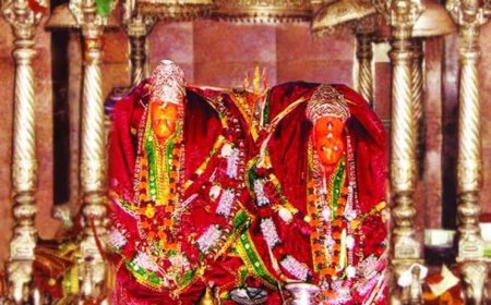 सकरायधाम में सजेगा फागुन महोत्सव का दरबार: अरावली की पहाड़ियों में गूंजेंगे मां शाकंभरी के जयकारे