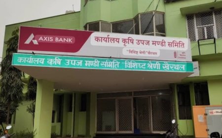 मंडी में चुनावी घमासान शुरू, अध्यक्ष पद पर दो दिग्गज आमने-सामने