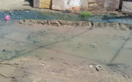 मालपुर के वाल्मीकि मोहल्ले में नालियों का अभाव:सड़कों पर गंदा पानी, बीमारियों का खतरा बढ़ा, प्रशासन की अनदेखी से लोगों में आक्रोश