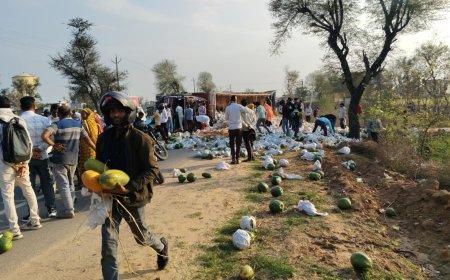 पपीता से भरा ट्रक स्टेट हाईवे 25 पर पलटा लोगों ने मचाई लूट