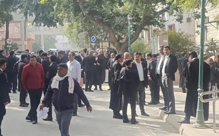 जूनियर वकीलों को मिले 15000 से 2000 रुपए का स्टाइपेंड, हाईकोर्ट ने जनहित याचिका पर जारी किए नोटिस