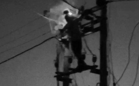 बिजली विभाग की खौफनाक लापरवाही: शटडाउन के बावजूद दौड़ा 11,000 वोल्ट करंट, खंभे पर जिंदा जला लाइनमैन