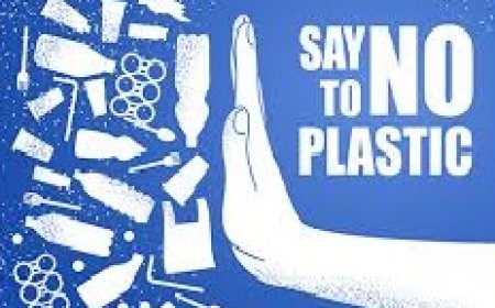 प्लास्टिक कचरा मुक्त अभियान के तहत लुधावई में दिलाई गई शपथ