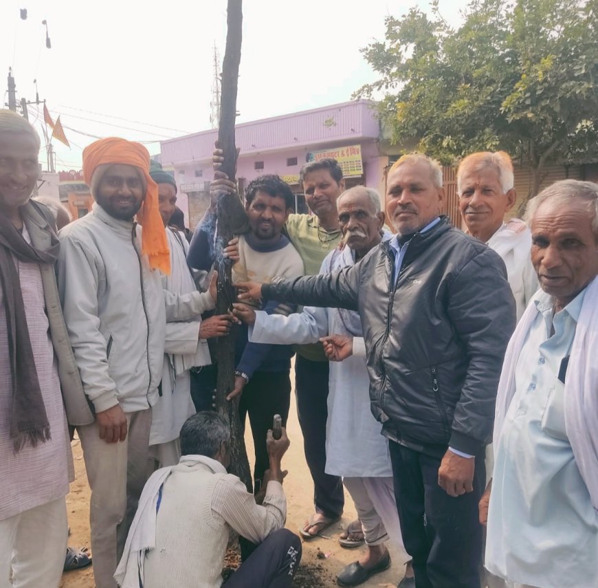 सकट में वैदिक मंत्रोच्चारण के साथ किया गया होली के डांडे का रोपण