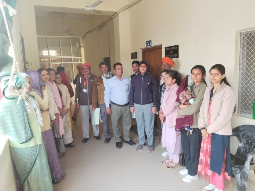 नीमकाजोहड़ा छापोली के पुजारीयों ने जिला कलेक्टर को ज्ञापन देकर स्टे आदेश की पालना करवाने की मांग की