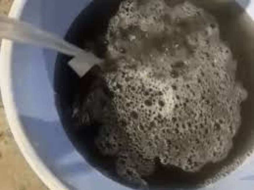 घरों में नाली का पानी सप्लाई: महिला बोली- बदबू इतनी तेज कि नल खोलना भी मुश्किल; शिकायत के बाद भी समाधान नहीं