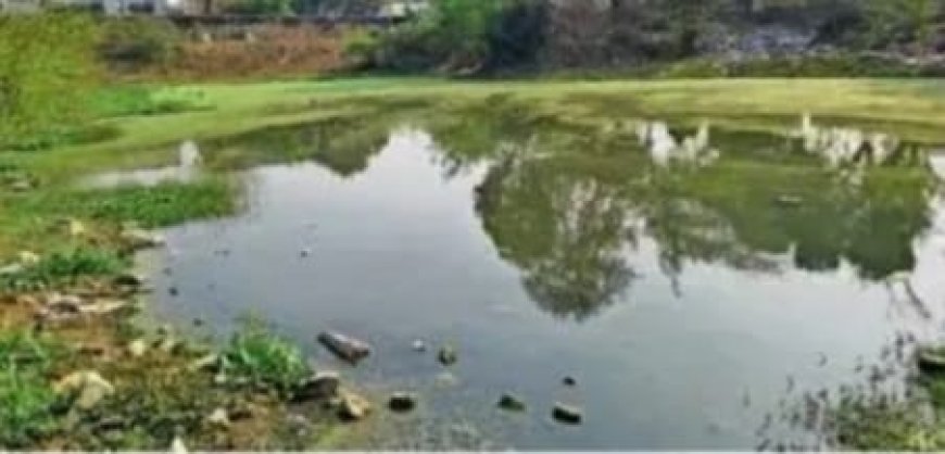 कागजों में ODF, हकीकत में खुले में शौच:खैरथल में स्वच्छता के दावों की खुली पोल, कलेक्टर आवास के पीछे गंदगी का साम्राज्य