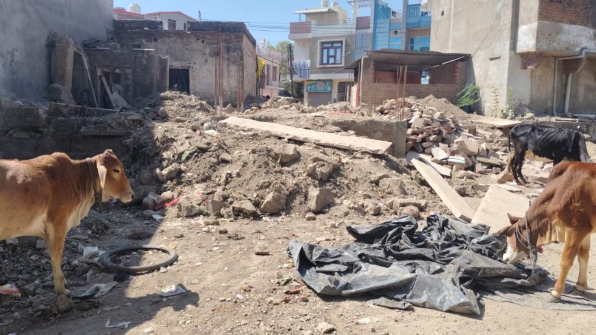 अंता नगर पालिका क्षेत्र में चल रहा अतिक्रमण करो अभियान तुरंत हो रहा निर्माण