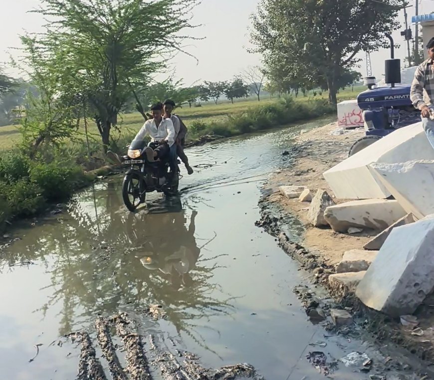 प्रशासनिक अनदेखी की भेंट चढ़ा न्याणा गांव,एक साल से सड़कों पर बह रहा कीचड़, सिस्टम की सुस्ती से ग्रामीण बेहाल