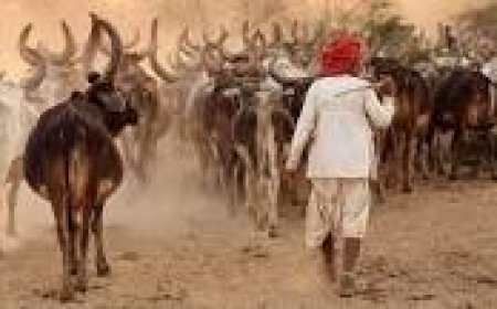 हर गांव में नियुक्त होगा एक ग्वाला, गाय चराने पर मिलेगा हर महीने 10 हजार रुपये