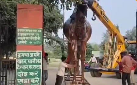 कबाड़ से बना 'कमाल' अलवर में लोहे के कचरे से बनीं शानदार मूर्तियां