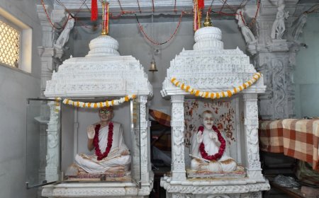 पादरली में आचार्य गुणरत्नसूरीश्वर की मूर्ति की प्रतिष्ठा में गूजें जयकारें
