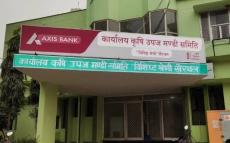 खैरथल अनाज मंडी में सियासी सरगर्मी तेज;  349 व्यापारी 7 मार्च को चुनेंगे अध्यक्ष, मंडी में रहेगा सार्वजनिक अवकाश