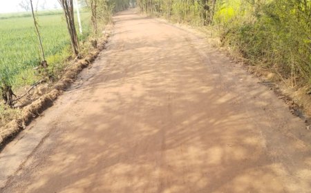 खरसनकी-जौहरी का बास सड़क निर्माण को मिली स्वीकृति: टेंडर प्रक्रिया पूरी हुई, अब जल्द शुरू होगा निर्माण कार्य