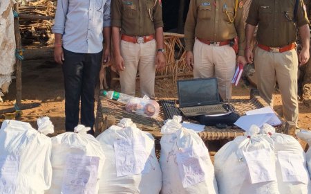 गेहूं की आड़ में नशे का कारोबार:  पुलिस ने पकड़ी ₹25.50 लाख की गांजे की खेती, एनडीपीएस एक्ट में मामला दर्ज