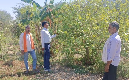 कृषि पर्यवेक्षक ने धामेंडा़ धाम में पेड़ पौधों का किया निरीक्षण; ऑक्सीजन बैक टू एनवायरनमेंट का सपना हो रहा साकार