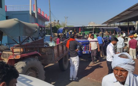 बड़ौदामेव में सरसों की 'सुनामी': सड़कों पर ट्रैक्टरों का कब्जा, बुधवार को नीलामी बंद, व्यापार मंडल ने लिया फैसला