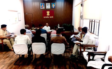 दौसा जिले में गर्मियों में पक्षियों के लिए लगाए जाएंगे 20 हजार परिंडे, निराश्रित पशुओं की सुरक्षा के लिए चलेगा अभियान