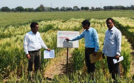 कुम्हेर कृषि अनुसंधान उपकेंद्र का निदेशक अनुसंधान ने किया निरीक्षण