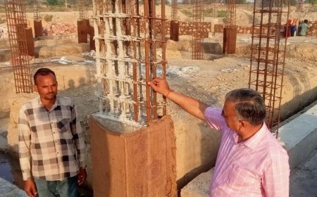 भरतपुर में बनेगा मधुमक्खी उत्कृष्टता केंद्र, हजारों मधुमक्खी पालकों को मिलेगा लाभ