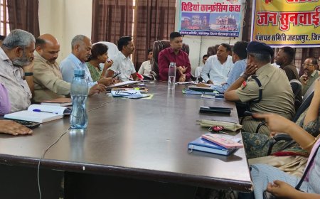 उपखंड स्तरीय जनसुनवाई में उठी कई अहम समस्याएं, कलेक्टर ने दिए जांच व कार्रवाई के निर्देश