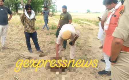 कैमासा के जंगल में मिला गोवंश का कटा हुआ सिर, पास ही कुएं में मिले गोवंश के अवशेष, पुलिस जांच मे जुटी