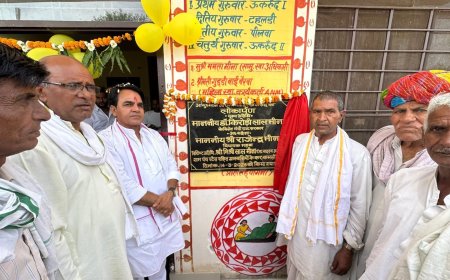 विधायक राजेंद्र मीणा ने आयुष्मान आरोग्य मंदिर का लोकार्पण, पशु चिकित्सालय भवन का किया शिलान्यास