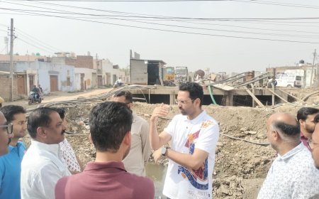 जिला कलक्टर ने किया शहर के विकास कार्यों का आकस्मिक निरीक्षण; विकास कार्यों के दौरान आमजन को आवागमन में नहीं हो परेशानी - जिला कलक्टर