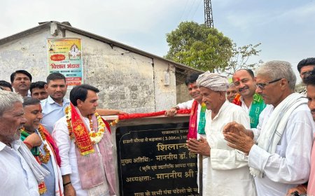 विधायक राजेंद्र मीणा ने केसरा से पाखर तक  ₹20 लाख व लोटवाड़ा में 80 लाख की सड़को का किया शिलान्यास, ग्रामीणों में खुशी की लहर*