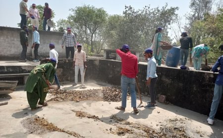 महात्मा गांधी स्कूल रामबास में NSS शिविर; छात्रों को सड़क और साइबर सुरक्षा की दी गई जानकारी, एक्सपर्ट बोले- छोटी सी लापरवाही से भी हो सकते है बड़े हादसे
