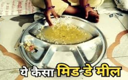 छात्र की फर्जी हाजिरी लगाकर MDM पोषाहार उठाने का आरोप लगाया, जांच शुरू