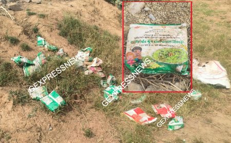 गोविंदगढ़ में खेतों में पड़े मिले आंगबाड़ी पोषाहार के पैकेट: ग्रामीण ने वितरण पर उठाए सवाल, अधिकारी बोले-पैकेट आंगनबाड़ी केंद्र के नहीं