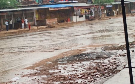 आफत बनी बारिश: खेतों में भीगी गेहूं की फसल, किसानों की बढ़ी चिंता