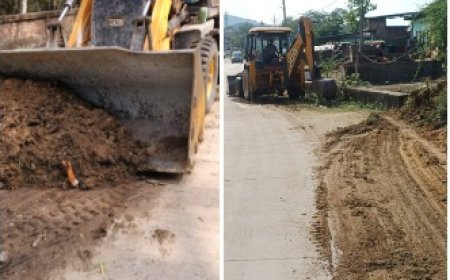 सार्वजनिक निर्माण विभाग द्वारा सड़क कट मरम्मत हेतु विशेष एकदिवसीय अभियान संचालित