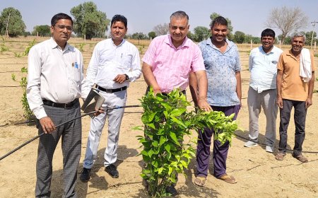 संयुक्त निदेशक उद्यान विभाग ने किया डीग-भरतपुर का दौरा, किसानों के ग्रीन हाउस, सोलर पंप और फव्वारा संयंत्रों का सत्यापन