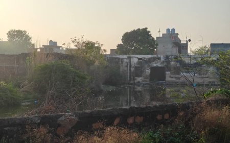 रेलवे स्टेशन के पीछे प्लॉटिंग क्षेत्र में भरा गंदा पानी, बीमारियों का बढ़ा खतरा