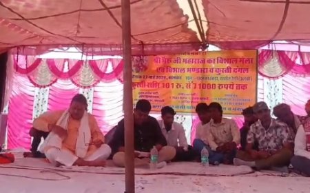 संस्कृति और समरसता: पाटन में भरा भैरू बाबा का विशाल मेला, ढांचा दंगल और कुश्ती में उमड़ा जनसैलाब