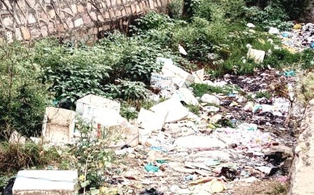 रात में फेंका जा रहा कचरा, 50 से अधिक कुत्तों का जमावड़ा, बीमारियों का बढ़ा खतरा, लोगों में रोष, जिम्मेदार नहीं दे रहे ध्यान;  गंदा नाला बना मुसीबत, अपशिष्ट से फैल रही दुर्गंध