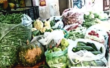 वर्ष 2022 में सरकार ने लगाई थी रोक, नगर परिषद क्षेत्र में धड़ल्ले से हो रहा उपयोग, कार्रवाई नहीं